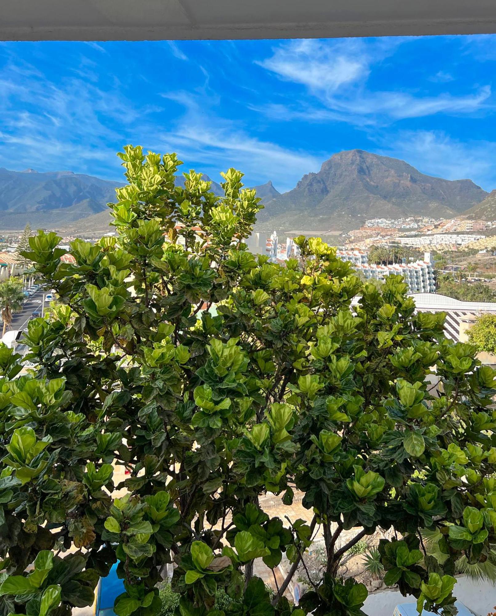 Tenerife Paradise Anna Studio Costa Adeje  Eksteriør billede