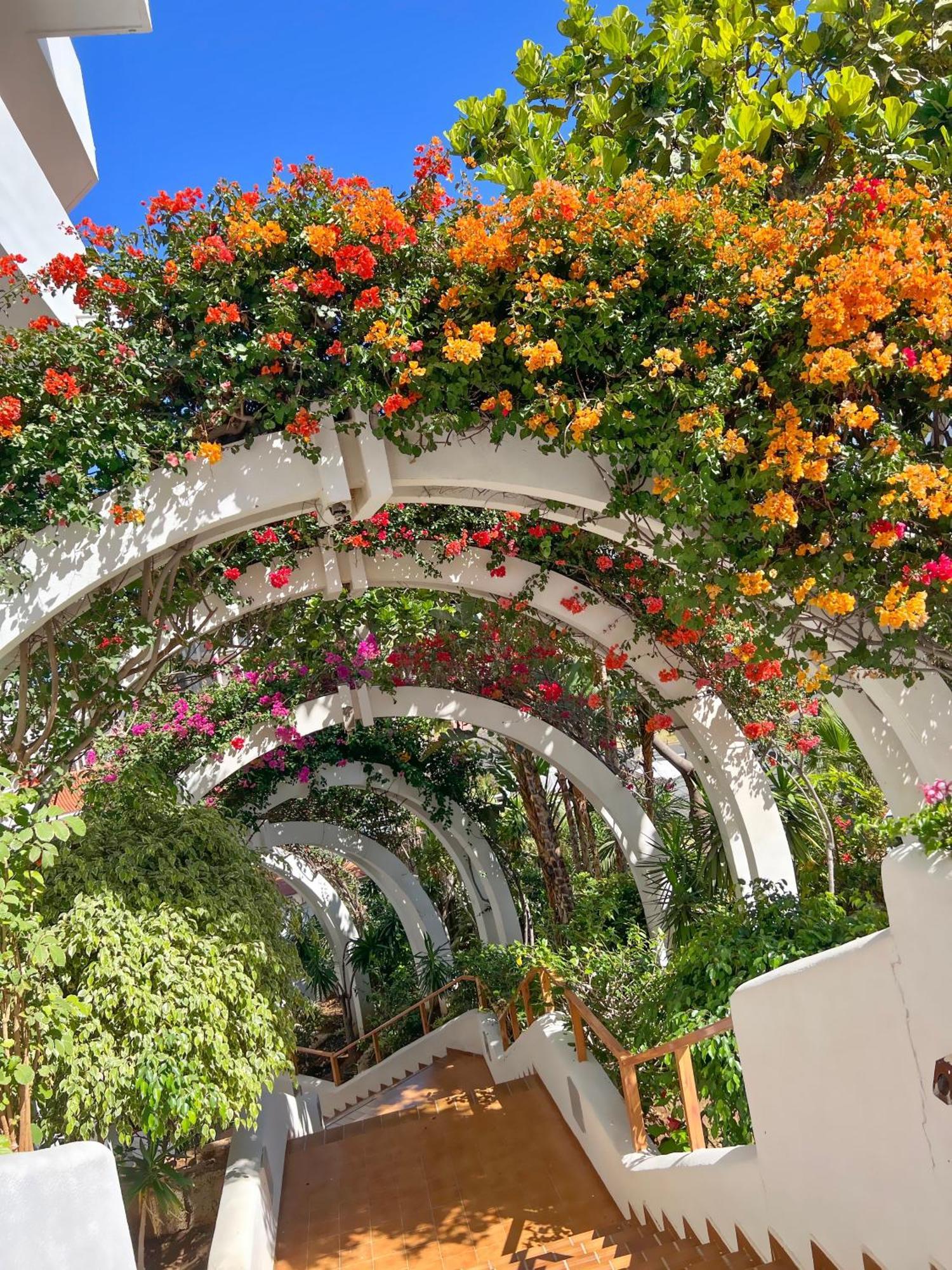 Tenerife Paradise Anna Studio Costa Adeje  Eksteriør billede